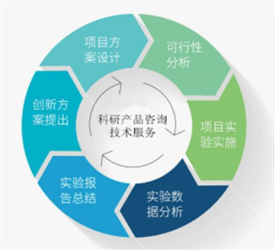 人半乳糖-3-O-磺基轉移酶2 功能、基因與臨床意義探析